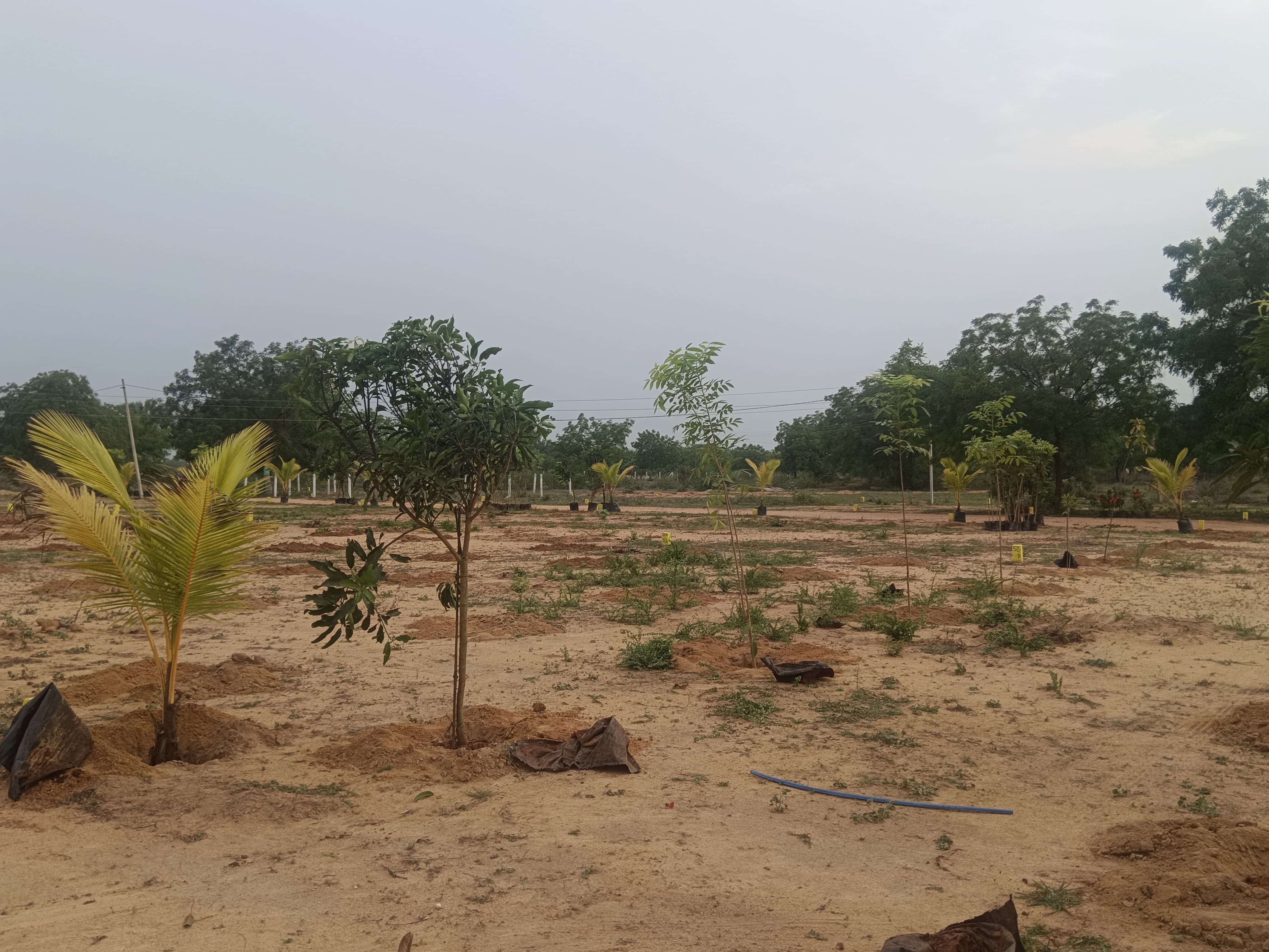 Kolanupaka Form Land